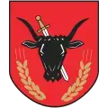 Kazimierza Wielka